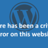WordPress there has been a critical error on this website