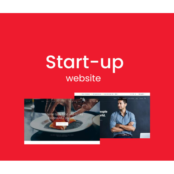 Start-up Business - Website Plan